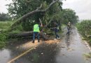 GOBIERNO ESTATAL RETIRA DERRUMBES POR LLUVIAS EN CARRETERAS