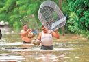 LLUVIAS DEVASTAN CUATRO ESTADOS; HAY 32 MUERTOS; HIDALGO, PUEBLA, QUERÉTARO Y VERACRUZ