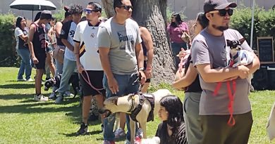 GOBIERNO IMPULSA EL CUIDADO Y ADOPCIÓN RESPONSABLE DE MASCOTAS