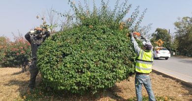 🧹🌿 SE MANTIENEN LAS JORNADAS DE LIMPIEZA EN EL BOULEVARD TURÍSTICO