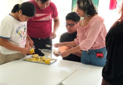 HABILIDADES PRODUCTIVAS Y EMPRENDIMIENTO PARA JÓVENES TÉNEK Y NÁHUATL
