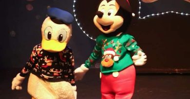 ALDEA NAVIDEÑA ILUMINA SAN LUIS POTOSÍ CON ESPECTÁCULO FAMILIAR