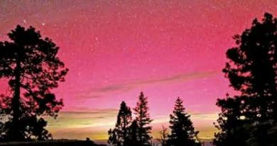 AURORAS BAÑAN DE LUZ EL CIELO DE 8 ESTADOS; APARECEN EN TERRITORIO NACIONAL
