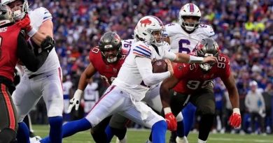 BILLS SE HUNDEN ANTE TEXANS