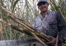 NEGOCIAN CON EU AUMENTAR COMPRA DE AZÚCAR