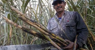 NEGOCIAN CON EU AUMENTAR COMPRA DE AZÚCAR