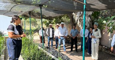 AVANZA PRODUCCIÓN DE CAFÉ DE ALTA CALIDAD EN LA HUASTECA