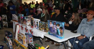 POSADAS ESTATALES LLEVAN ALEGRÍA A TODO SAN LUIS