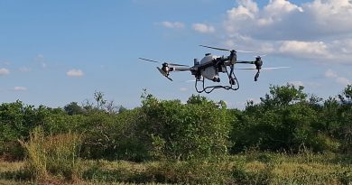 SANIDAD VEGETAL FORTALECE AL CAMPO EN SAN LUIS DURANTE 2025