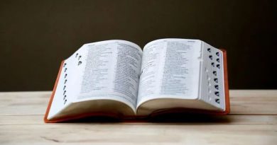 LAS PALABRAS DEL AÑO 2025 EN EL MUNDO: DE «ARANCEL» A «SLOP» Y LA ENIGMÁTICA «67»