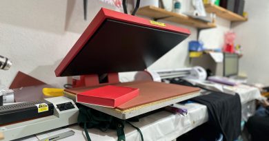 IMPULSO FINANCIERO A LA CREATIVIDAD Y LOS SERVICIOS POTOSINOS