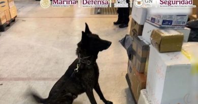 ASEGURAN EN EL AICM UN KILO DE FENTANILO CON VALOR DE 20 MILLONES DE DÓLARES