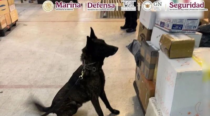 ASEGURAN EN EL AICM UN KILO DE FENTANILO CON VALOR DE 20 MILLONES DE DÓLARES