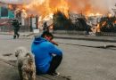 INCENDIOS EN CHILE: CONFIRMAN 50 MIL EVACUADOS, MÁS DE 15 MUERTOS Y 10 MIL HECTÁREAS AFECTADAS