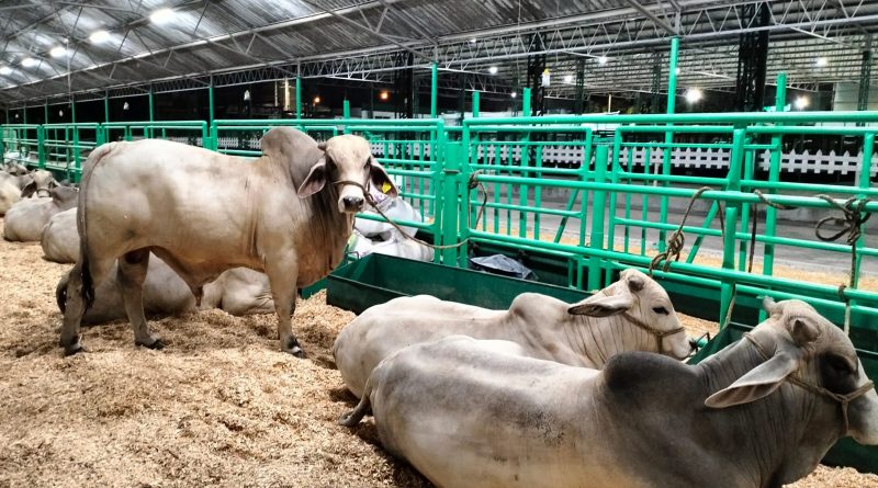 MÁS PRODUCCIÓN Y EMPLEO EN EL CAMPO POTOSINO