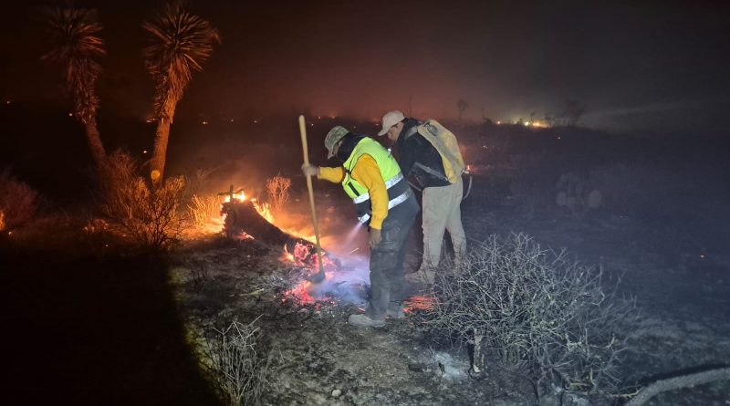 GOBIERNO DEL ESTADO REFUERZA OPERATIVO CONTRA INCENDIO EN SANTO DOMINGO