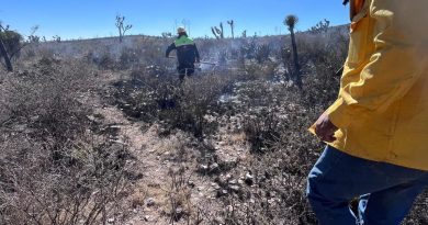 INCENDIO EN SANTO DOMINGO QUEDA BAJO CONTROL TOTAL