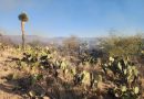 GOBIERNO ESTATAL DIFUNDE MEDIDAS PARA PREVENIR INCENDIOS FORESTALES