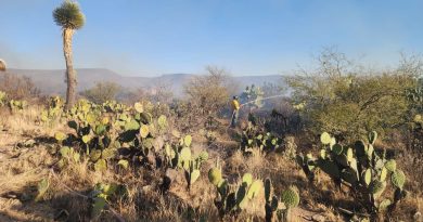 GOBIERNO ESTATAL DIFUNDE MEDIDAS PARA PREVENIR INCENDIOS FORESTALES