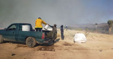 FORTALECE GOBIERNO RESPUESTA INMEDIATA ANTE INCENDIOS FORESTALES