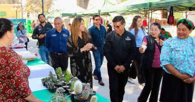 IMPULSA GOBIERNO ESTATAL EL TALENTO ARTESANAL DEL ALTIPLANO