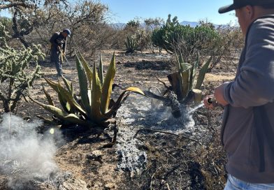 RESPONDE ESTADO CON ACCIONES OPORTUNAS ANTE INCENDIOS
