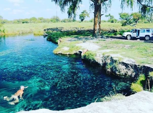 SAN LUIS AVANZA EN CONSERVACIÓN DEL MANANTIAL LOS PEROLES