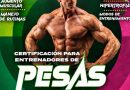 GOBIERNO ESTATAL IMPULSA CERTIFICACIÓN INTERNACIONAL PARA ENTRENADORES DE PESAS