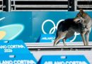 PERRO SE CUELA EN LA PISTA DURANTE PRUEBA DE ESQUÍ DE MILANO-CORTINA
