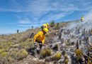 SAN LUIS FORTALECE ESTRATEGIA CONTRA INCENDIOS FORESTALES