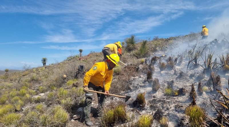 SAN LUIS FORTALECE ESTRATEGIA CONTRA INCENDIOS FORESTALES