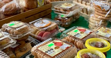 SAN LUIS DESTACA EN LA SEMANA CULTURAL EN EL SENADO DE LA REPÚBLICA