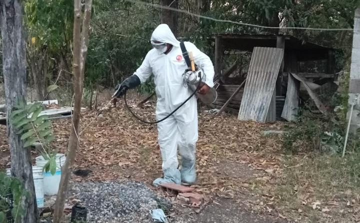 ESTADO REFUERZA PREVENCIÓN CONTRA GUSANO BARRENADOR