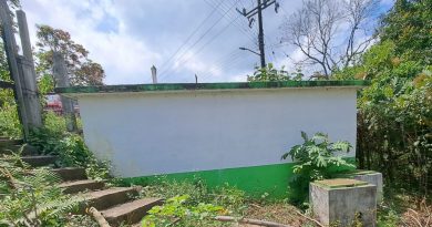 GOBIERNO ESTATAL DESARROLLA SISTEMA HÍDRICO PARA XILITLA