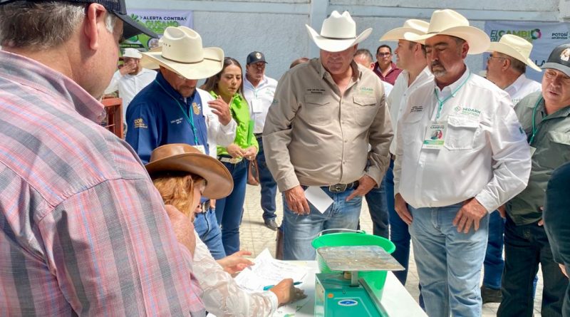 ARRANCA CON ÉXITO EL PRIMER FESTIVAL DEL CABRITO EN SAN LUIS