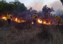 ESTADO REFUERZA CAPACITACIONES A BRIGADISTAS COMBATIENTES DE INCENDIOS