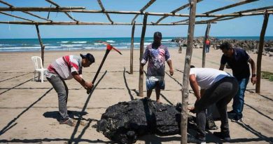 AMBIENTALISTAS ACUSAN QUE AUTORIDADES CONOCÍAN DERRAME Y NO ACTIVARON PROTOCOLOS EN GOLFO DE MÉXICO