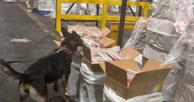 ASEGURAN CUATRO TONELADAS DE CIGARRILLOS EN EL AICM