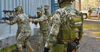 CAEN 16 PRESUNTOS MIEMBROS DE LA FAMILIA MICHOACANA