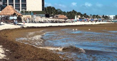 PLAYAS DE MÉXICO RECIBEN LA SEMANA SANTA ENTRE SARGAZO Y DERRAMES