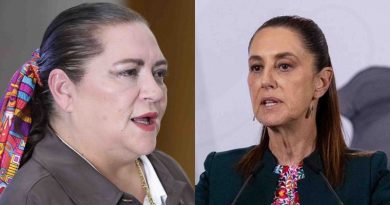 SENADO ALISTA DISCUSIÓN DE PLAN B DE REFORMA ELECTORAL CON TADDEI