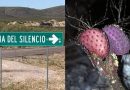 ¿POR QUÉ EN LA ZONA DEL SILENCIO CRECEN NOPALES MORADOS?
