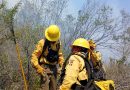 ESTADO RESPONDE DE INMEDIATO A INCENDIO FORESTAL EN CIUDAD DEL MAÍZ