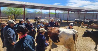 ESTUDIANTES DE VETERINARIA DE LA UNIVERSIDAD DE MATEHUALA DESTACAN EN ANÁLISIS DE PRODUCCIÓN LECHERA