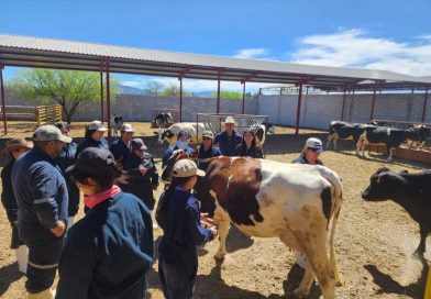 ESTUDIANTES DE VETERINARIA DE LA UNIVERSIDAD DE MATEHUALA DESTACAN EN ANÁLISIS DE PRODUCCIÓN LECHERA