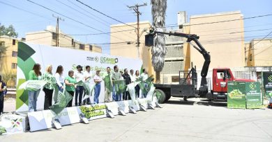 RICARDO GALLARDO ENCHULA COLONIA INFONAVIT-MORALES