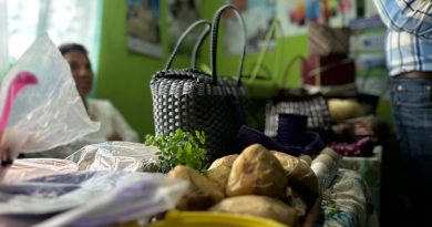 ESTADO IMPULSA HISTORIAS DE ÉXITO ENTRE LAS FAMILIAS EMPRENDEDORAS