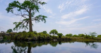 GOBIERNO ESTATAL IMPULSA PROTECCIÓN AL MANANTIAL LOS PEROLES