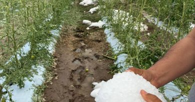 GOBIERNO ESTATAL ACTÚA ANTE DAÑOS POR TROMBA EN LA CAPITAL Y VILLA DE ARISTA