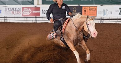 COPA INTERNACIONAL DE NRHA COMO PARTE DE LOS EVENTOS DEPORTIVOS DE LA FENAPO